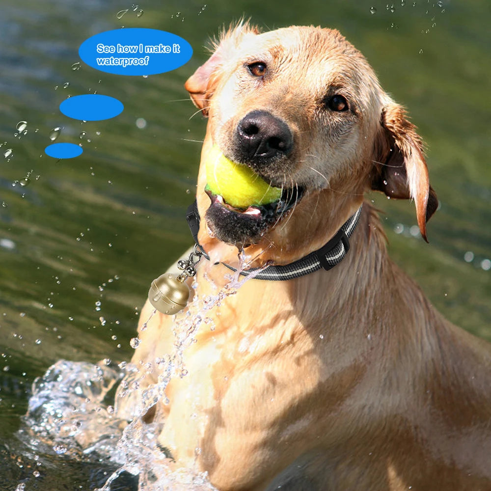 Tracker Pet Tracking for Cat Dog Localizador Gps Rovides You Latest Technology Personalized Solutions Dog Tag Gps