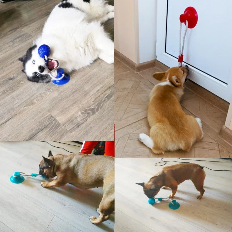 Interactive Suction Cup Dog Chew Toy — TPR Ball with Elastic Rope for Teeth Cleaning