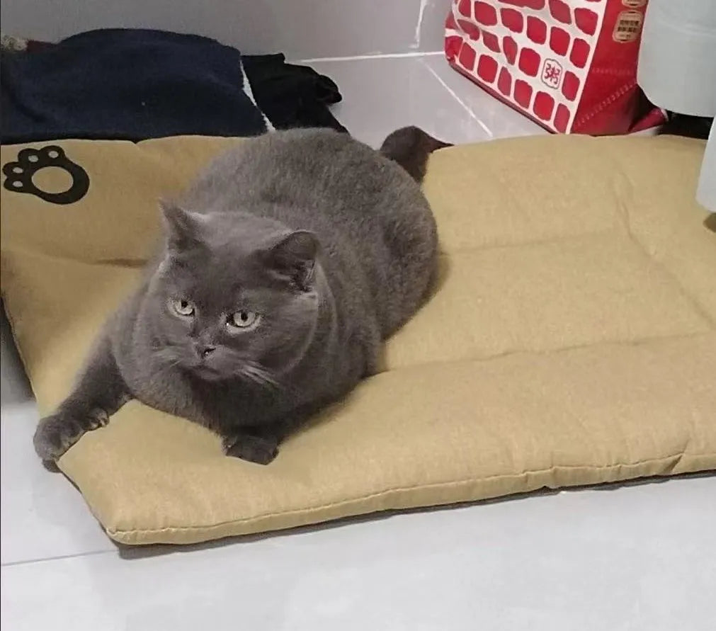 Four-Season Cotton Linen Pet Bed Mat | Scratch-Resistant &amp; Washable for Dogs &amp; Cats