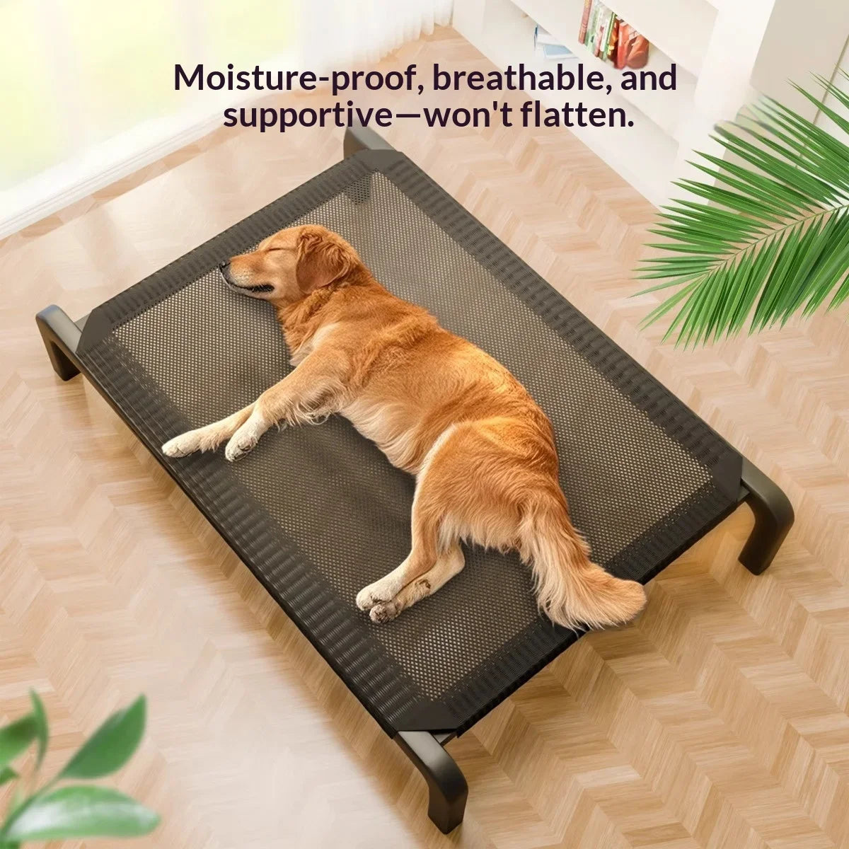 Elevated Dog Bed | All-Season Waterproof Raised Pet Cot for Large & Small Dogs