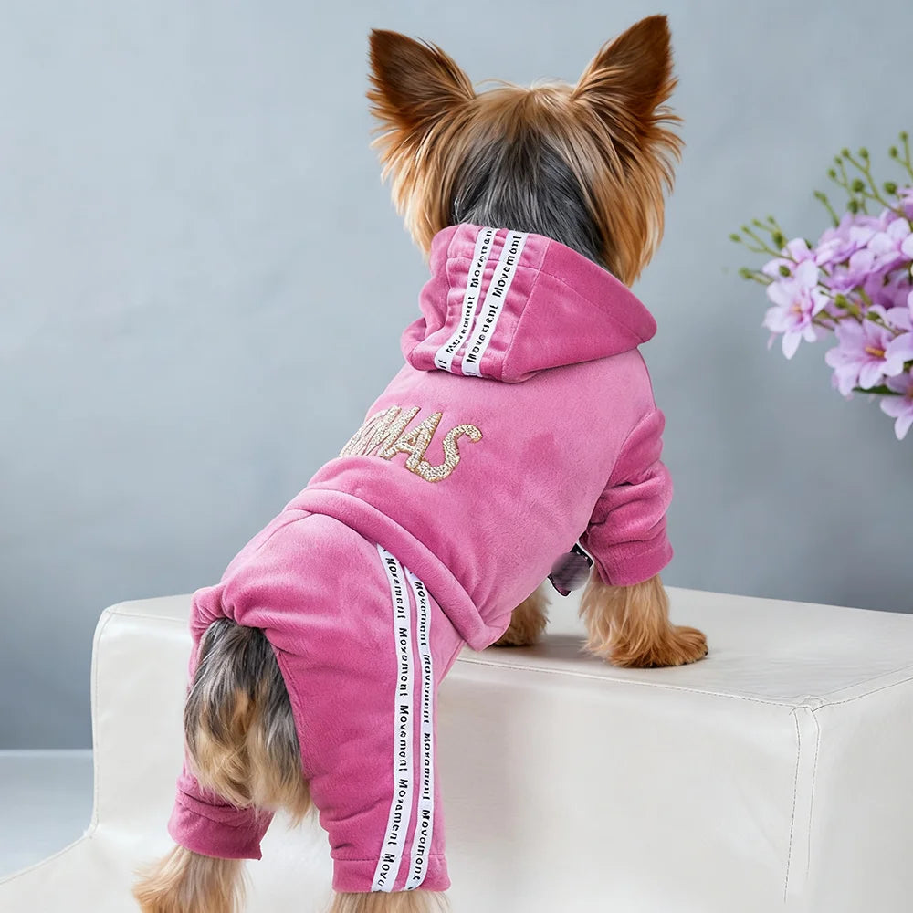 Girl Dog Clothes for Small Dogs | Soft Velvet Puppy Jumpsuit & Cute Pet Outfits
