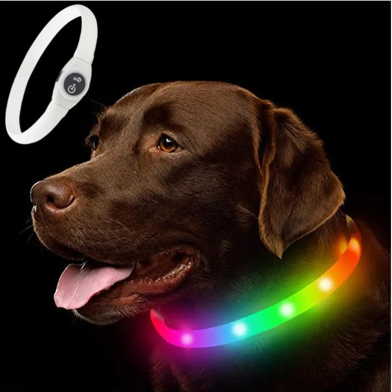 LED Dog Safety Collar | USB Rechargeable, Waterproof & 3 Light Modes