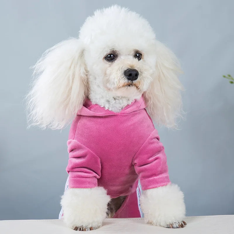 Girl Dog Clothes for Small Dogs | Soft Velvet Puppy Jumpsuit & Cute Pet Outfits