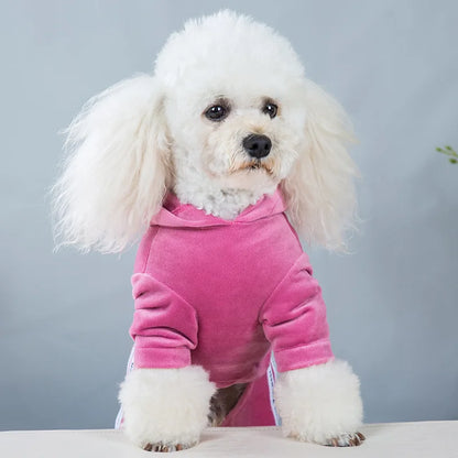 Girl Dog Clothes for Small Dogs | Soft Velvet Puppy Jumpsuit &amp; Cute Pet Outfits