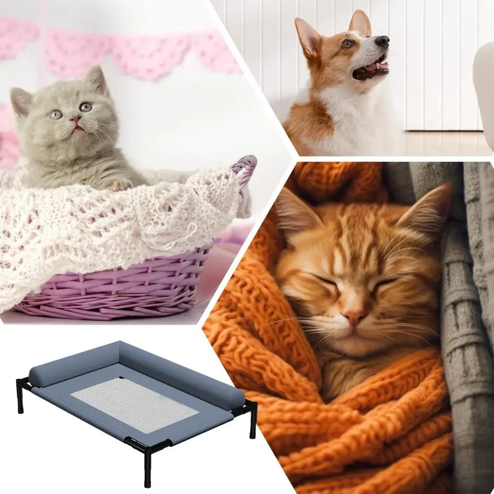 Dog Cot Cooling Dog Bed With Pillow And Breathable Mesh Washable Pet Furniture For Outdoor Indoor Camping Patio Sunbathing
