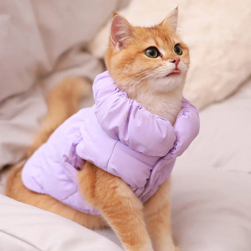 Soft Warm Dog Winter Jacket | Padded Coat for Small & Medium Dogs