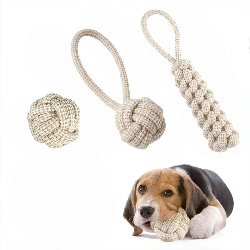3-Piece Interactive Toy Set for Dogs & Cats | Leisure & Entertainment Bundle