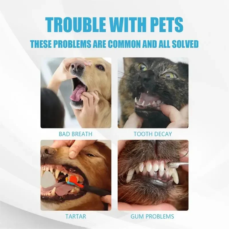 Pet Toothpaste for Dogs &amp; Cats, Edible Oral Care, Fresh Breath, Tartar &amp; Plaque Removal, Teeth Cleaning Pet Products