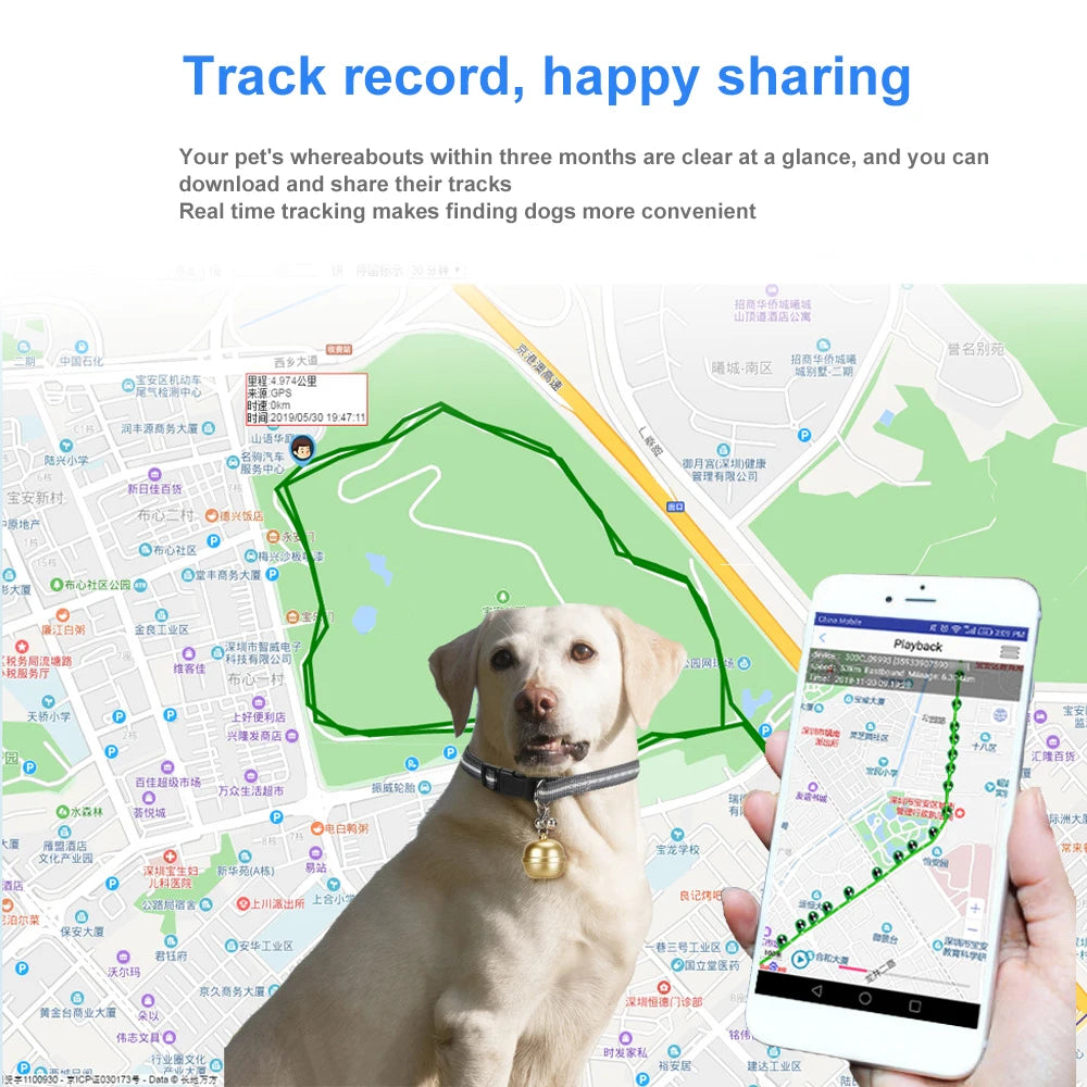 Tracker Pet Tracking for Cat Dog Localizador Gps Rovides You Latest Technology Personalized Solutions Dog Tag Gps