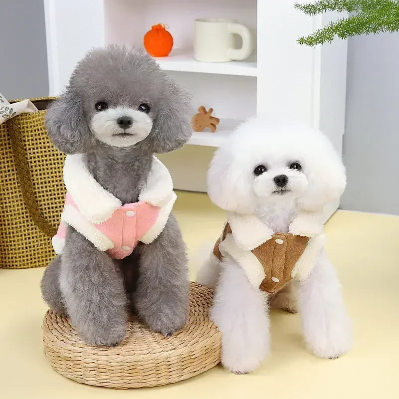 Winter Bow Cotton Jacket for Small Dogs & Cats