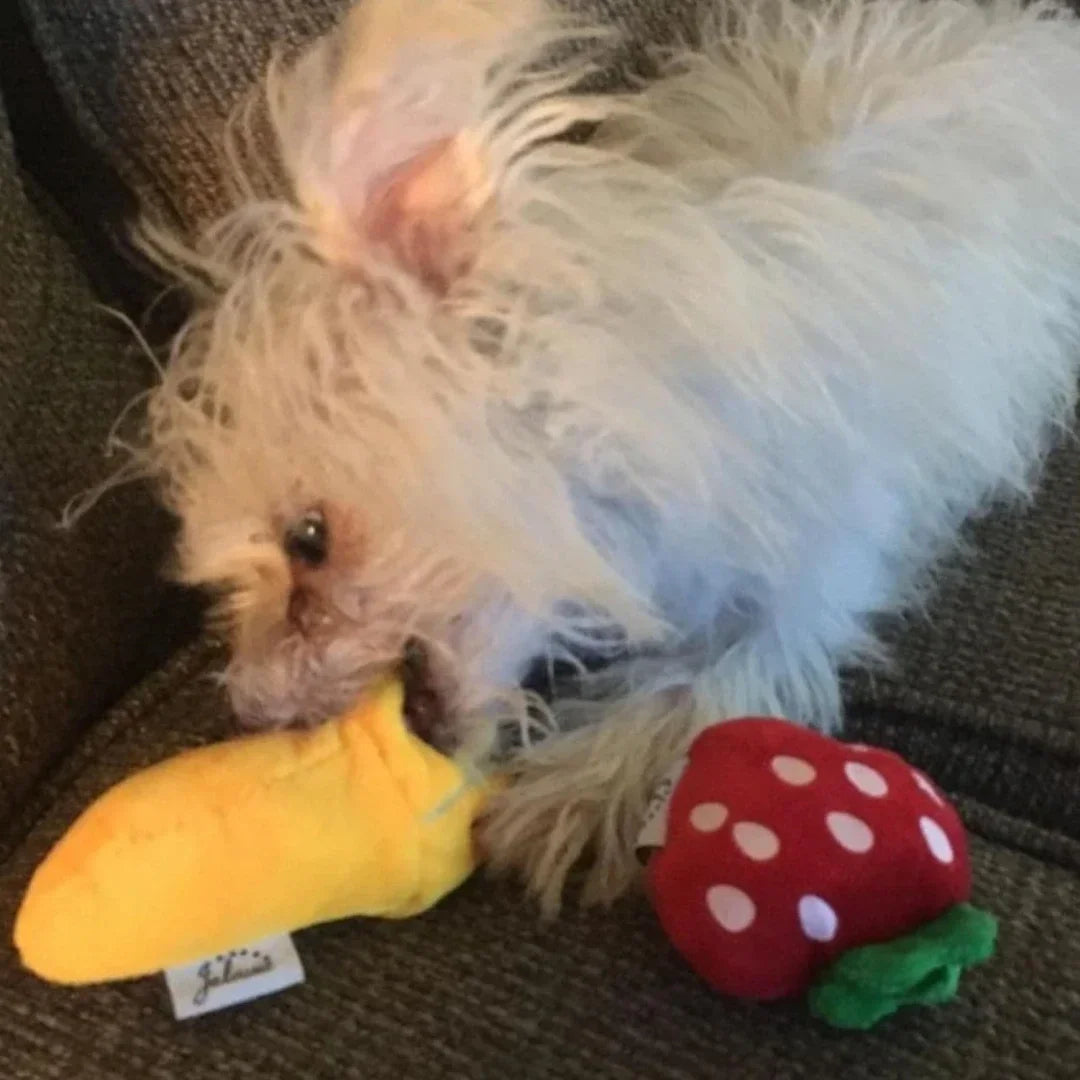 7-Piece Puppy Plush Toy Set – Fruit &amp; Veggie Squeaky Toys