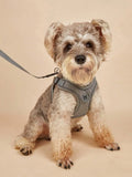 Dog Harness for Small Medium Dogs No Pull, Puppy Harness and Leash Set, Step in Dog Harness for Walking, Running, Training