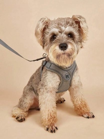 Dog Harness for Small Medium Dogs No Pull, Puppy Harness and Leash Set, Step in Dog Harness for Walking, Running, Training