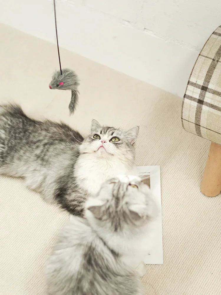 Hanging Door Mouse Cat Toy | Retractable Self-Play Interactive Scratch Rope