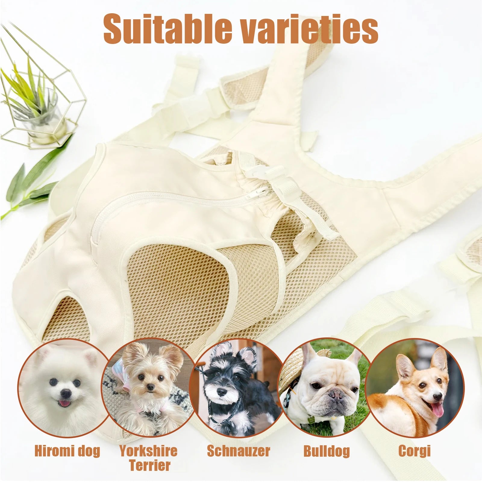 New Pet Bag Dog Backpack Cat Backpack Embracing Type Backpack Zipper Style Mesh Fabric Breathable Adjustable Pet Supplies