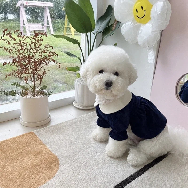 Warm Corduroy Princess Dress for Small Dogs