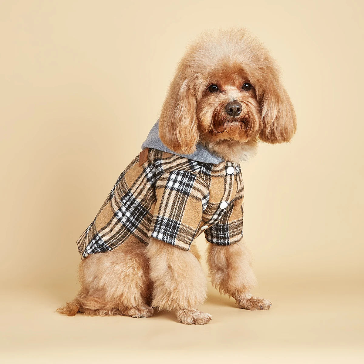 Dog Clothes Hoodie for Small Dogs Costume  Puppy Sweatshirts Classical Plaid Pet Doggie Clothes with Pocket Soft Warm Pet Cats C