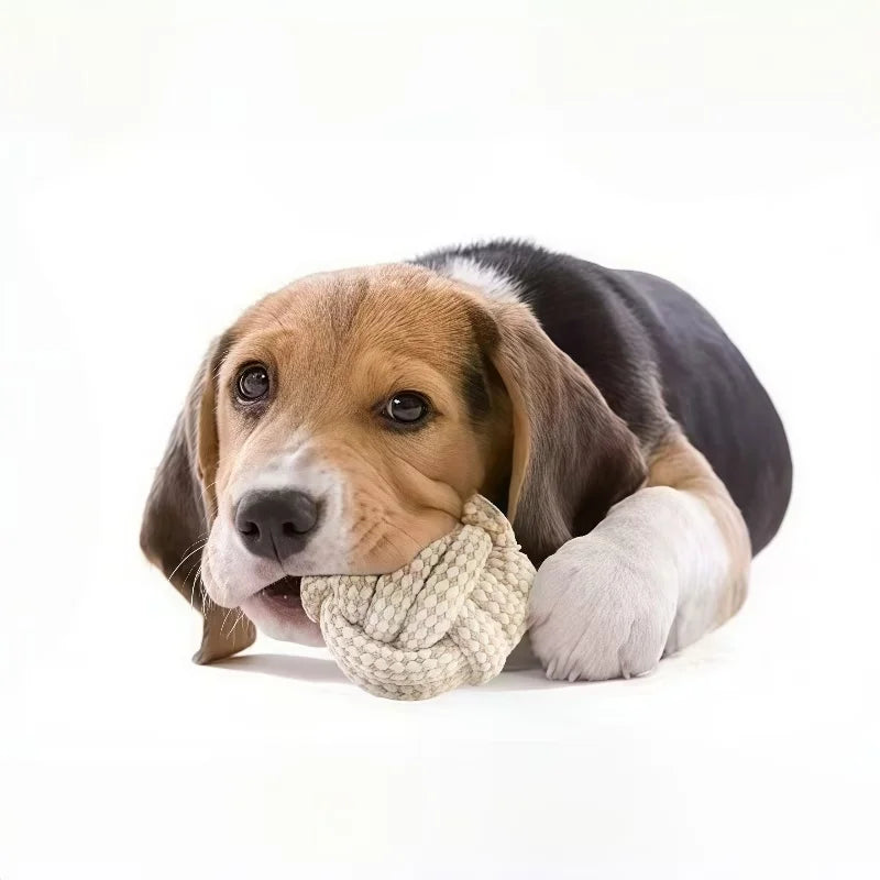3-Piece Interactive Toy Set for Dogs & Cats | Leisure & Entertainment Bundle