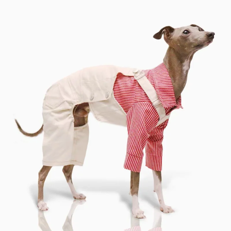 Adjustable Wool Coat for Italian Greyhounds & Whippets