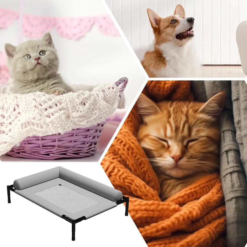 Dog Cot Cooling Dog Bed With Pillow And Breathable Mesh Washable Pet Furniture For Outdoor Indoor Camping Patio Sunbathing