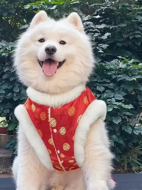 Chinese traditional pattern pet clothing, warm and comfortable dog clothes, suitable for medium to large dogs such as Golden Ret