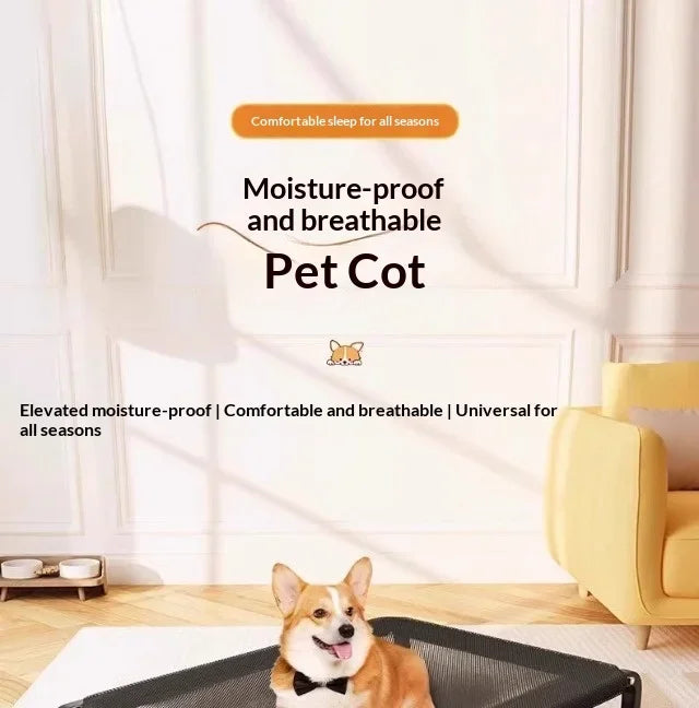 Elevated Dog Bed | All-Season Waterproof Raised Pet Cot for Large & Small Dogs