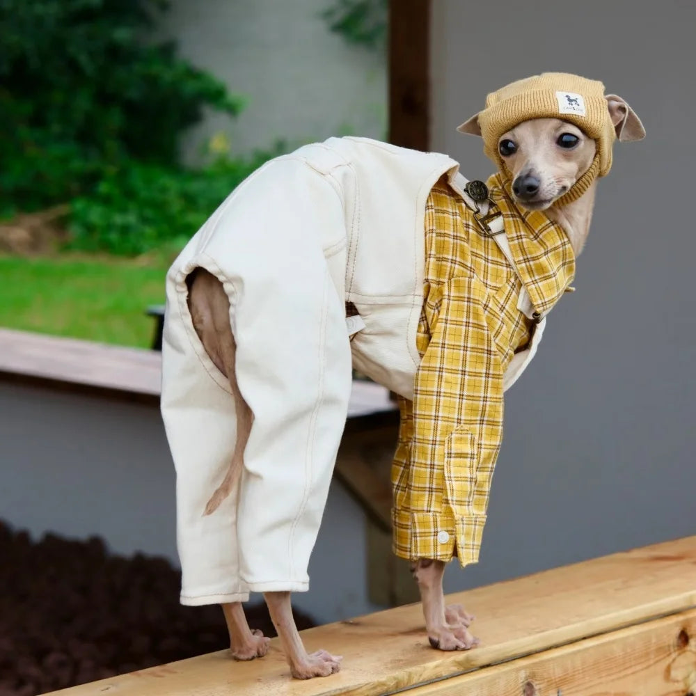Adjustable Wool Coat for Italian Greyhounds & Whippets