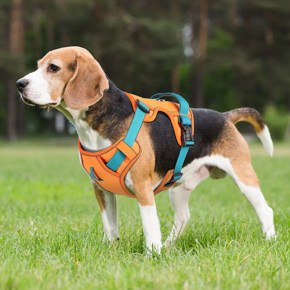 No Pull Dog Harness | Nylon Reflective Vest | Easy Control Handle | Small Medium Large Dogs