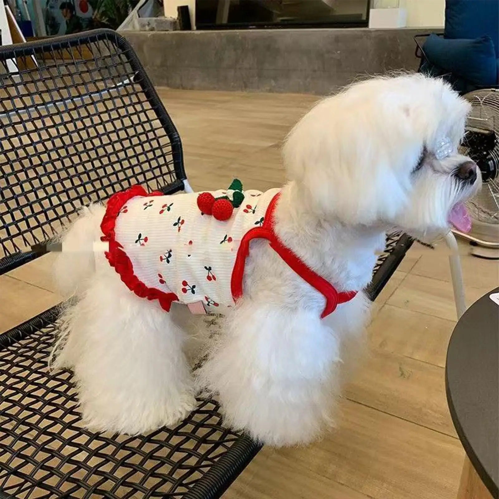 Cherry Print Breathable Dog &amp; Cat Vest – Soft Summer Pet Clothes