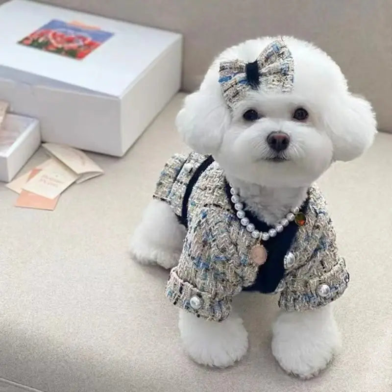 Luxury Thickened Dog & Cat Jacket Skirt Set – Warm Autumn Winter Coat with Leash