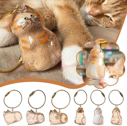 Pet Hair Memorial Resin Keychain