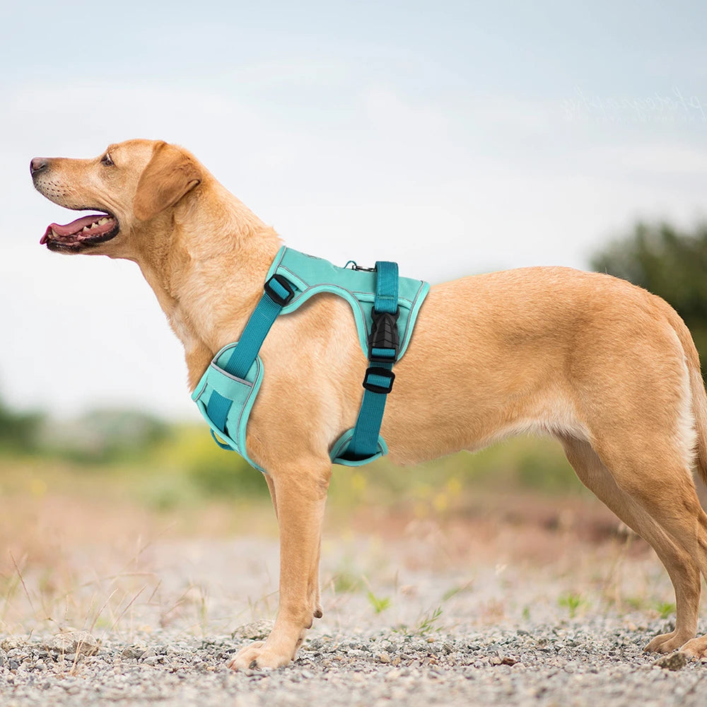 No Pull Dog Harness | Nylon Reflective Vest | Easy Control Handle | Small Medium Large Dogs