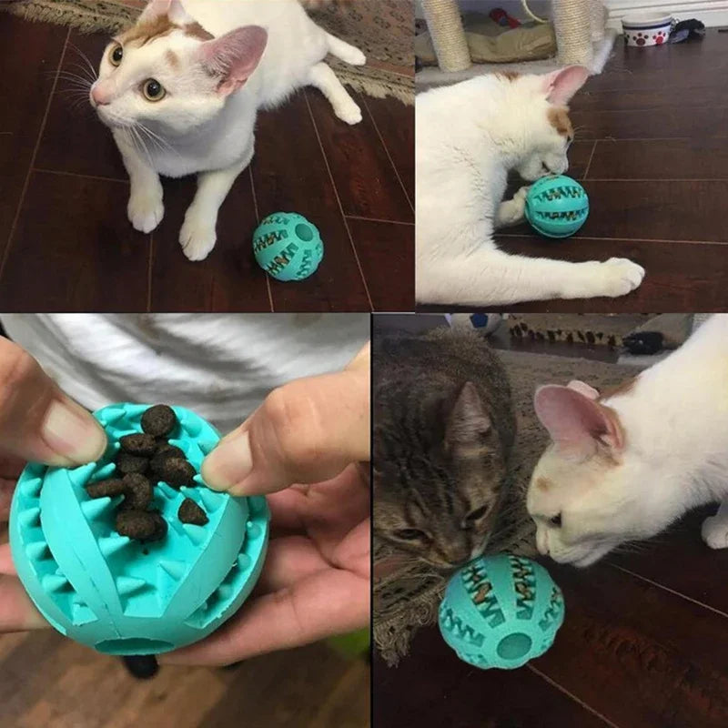 Interactive Suction Cup Dog Chew Toy — TPR Ball with Elastic Rope for Teeth Cleaning