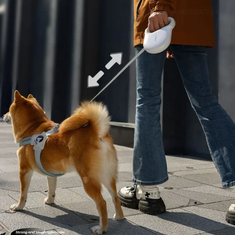 5M Retractable Dog Leash | Reflective Belt, Auto-Lock Safety Walking Rope