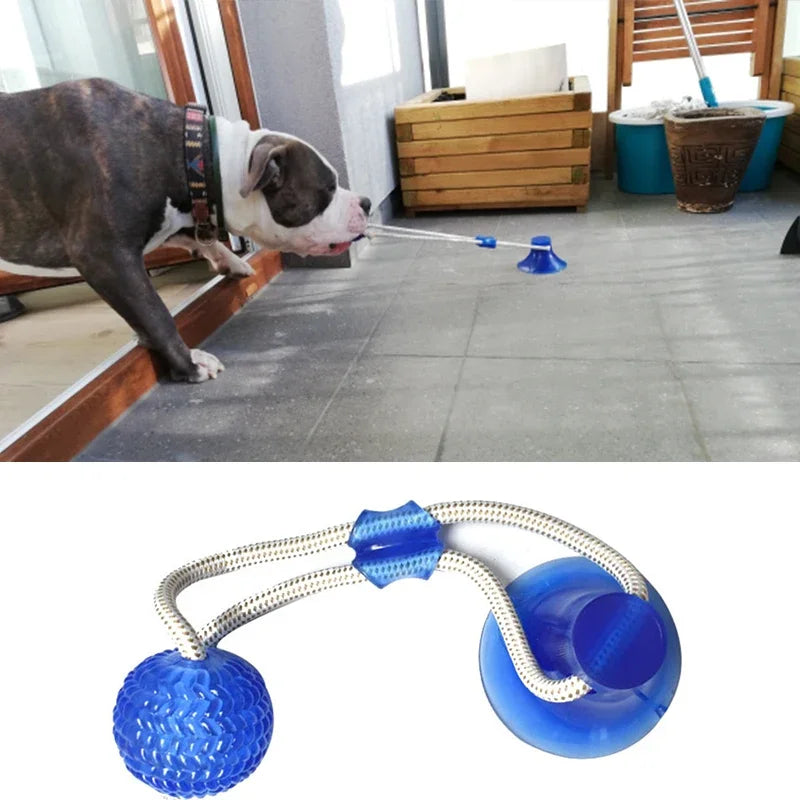 Interactive Suction Cup Dog Chew Toy — TPR Ball with Elastic Rope for Teeth Cleaning