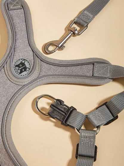 Dog Harness for Small Medium Dogs No Pull, Puppy Harness and Leash Set, Step in Dog Harness for Walking, Running, Training