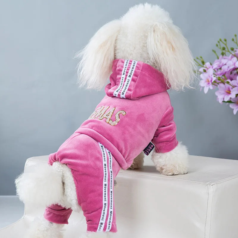 Girl Dog Clothes for Small Dogs | Soft Velvet Puppy Jumpsuit & Cute Pet Outfits
