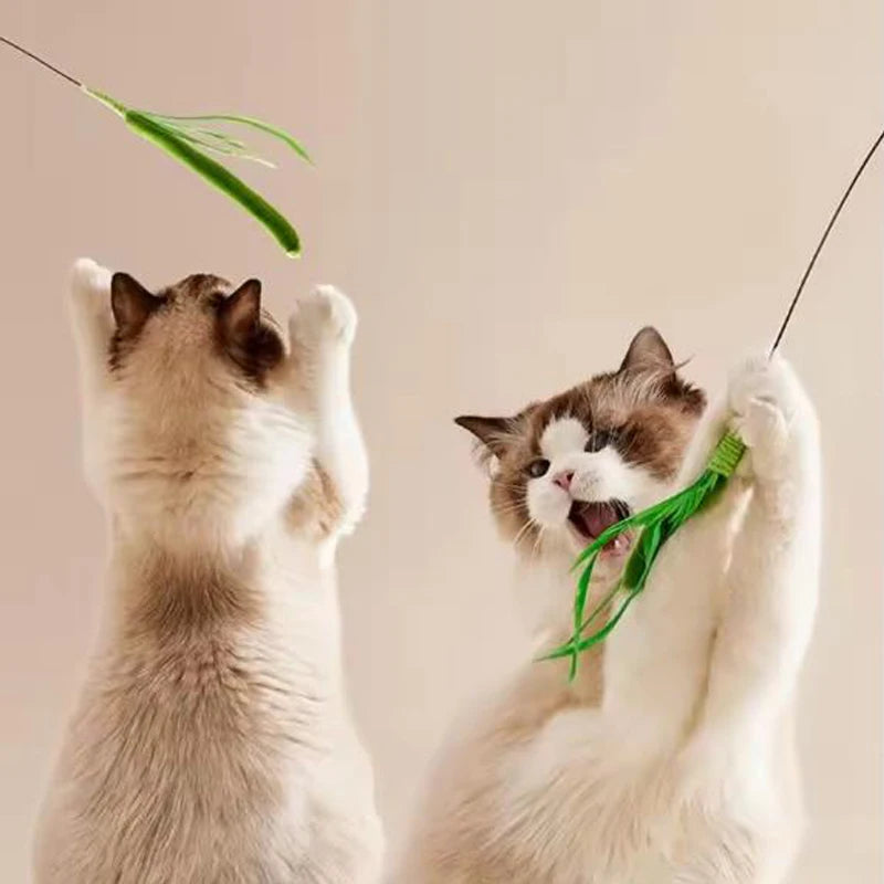 Cat Teaser Wand Toy | Crinkle Tail Grass Stick for Kittens &amp; Cats
