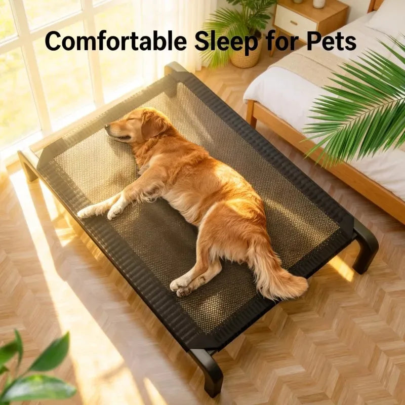 Foldable Dog Bed | All-Season Camp Bed for Large & Small Dogs | Detachable & Washable | Petdashian