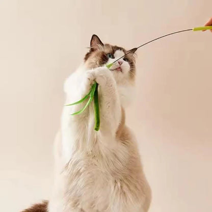 Cat Teaser Wand Toy | Crinkle Tail Grass Stick for Kittens &amp; Cats