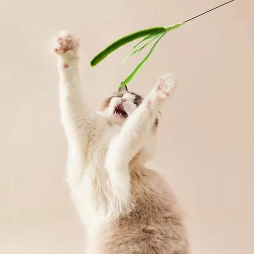 Cat Teaser Wand Toy | Crinkle Tail Grass Stick for Kittens & Cats