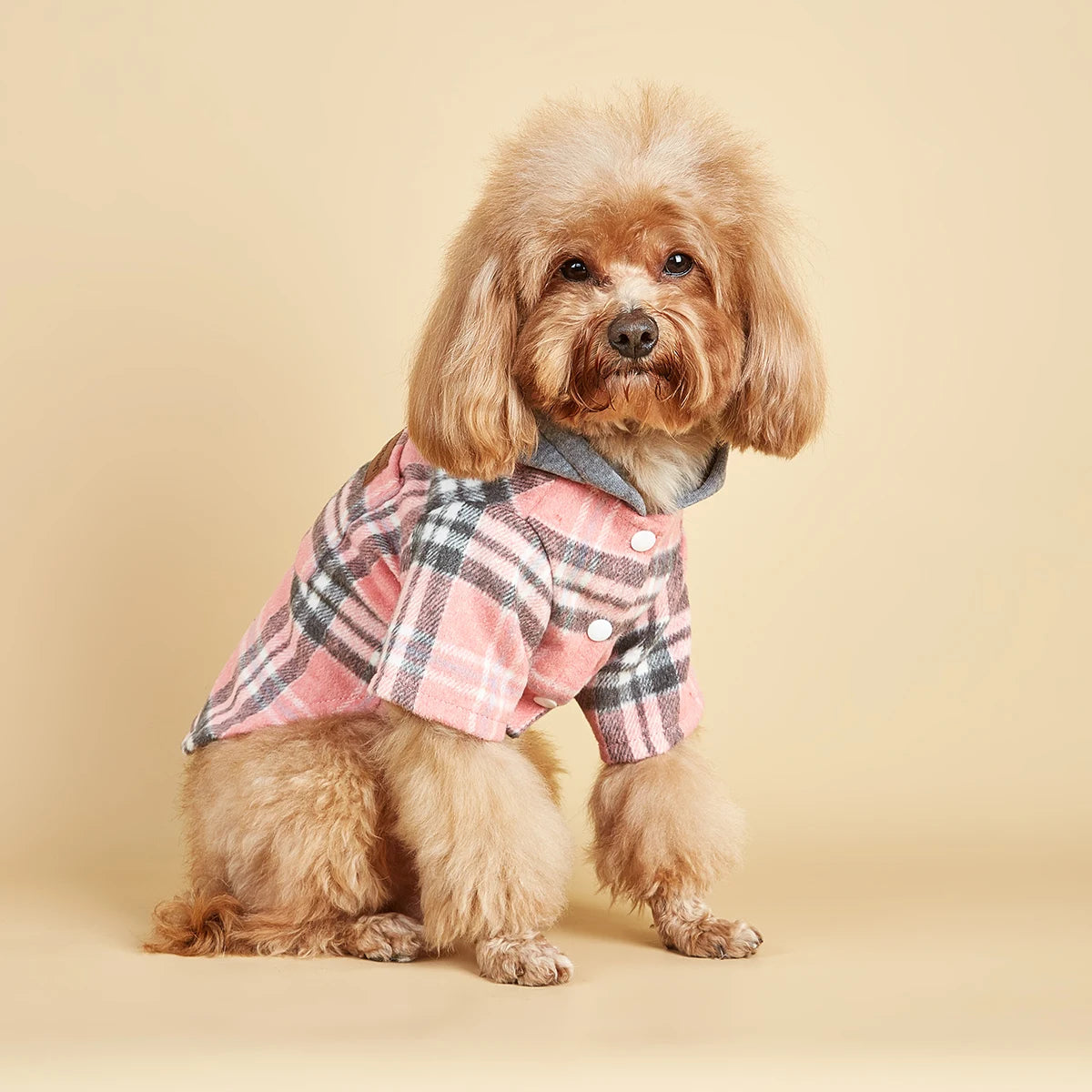 Dog Clothes Hoodie for Small Dogs Costume  Puppy Sweatshirts Classical Plaid Pet Doggie Clothes with Pocket Soft Warm Pet Cats C